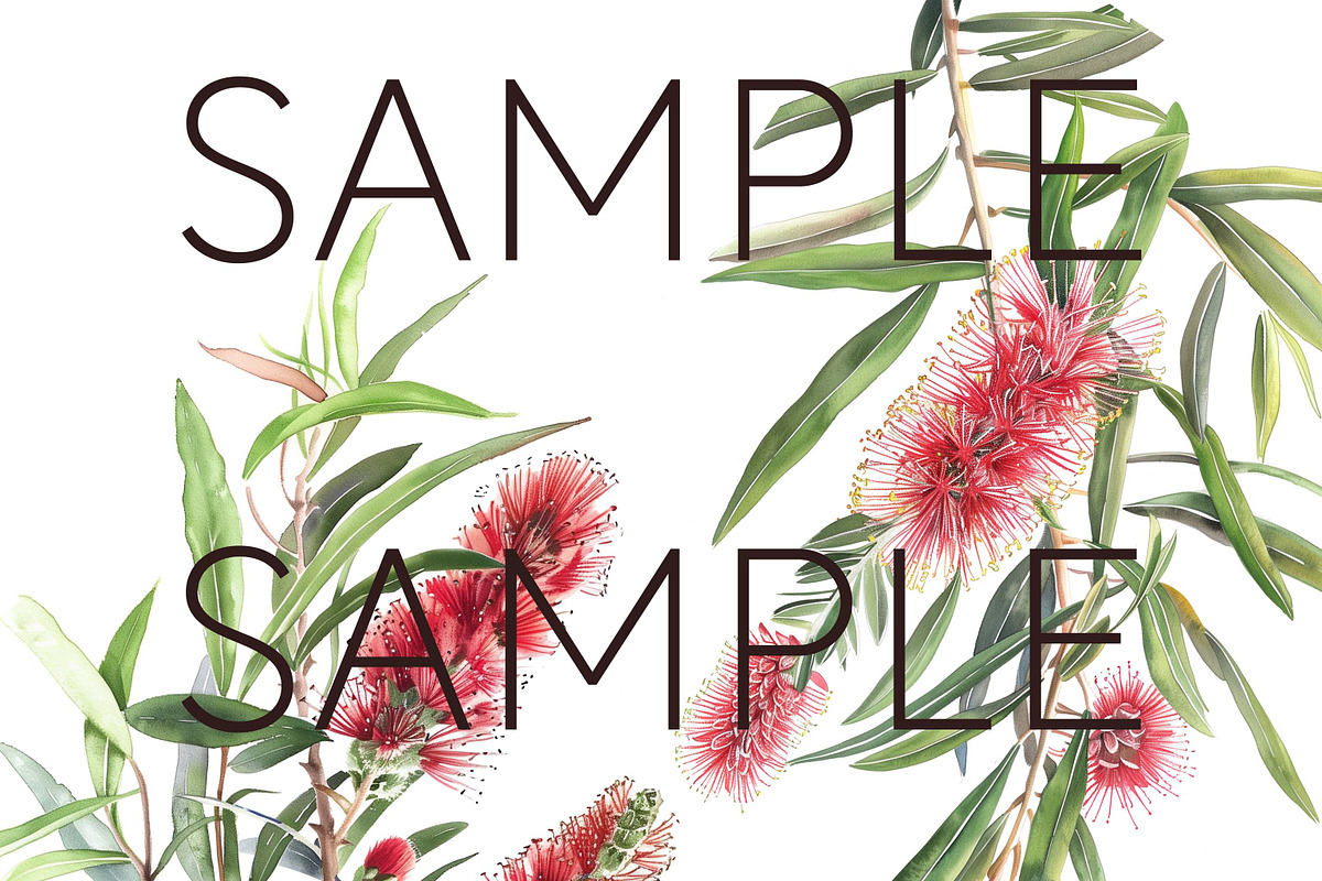 Bottle Brush Floral Clipart PNG, a Decorative Illustration by Pawcasso's Portraits (Photo 3 of 6)