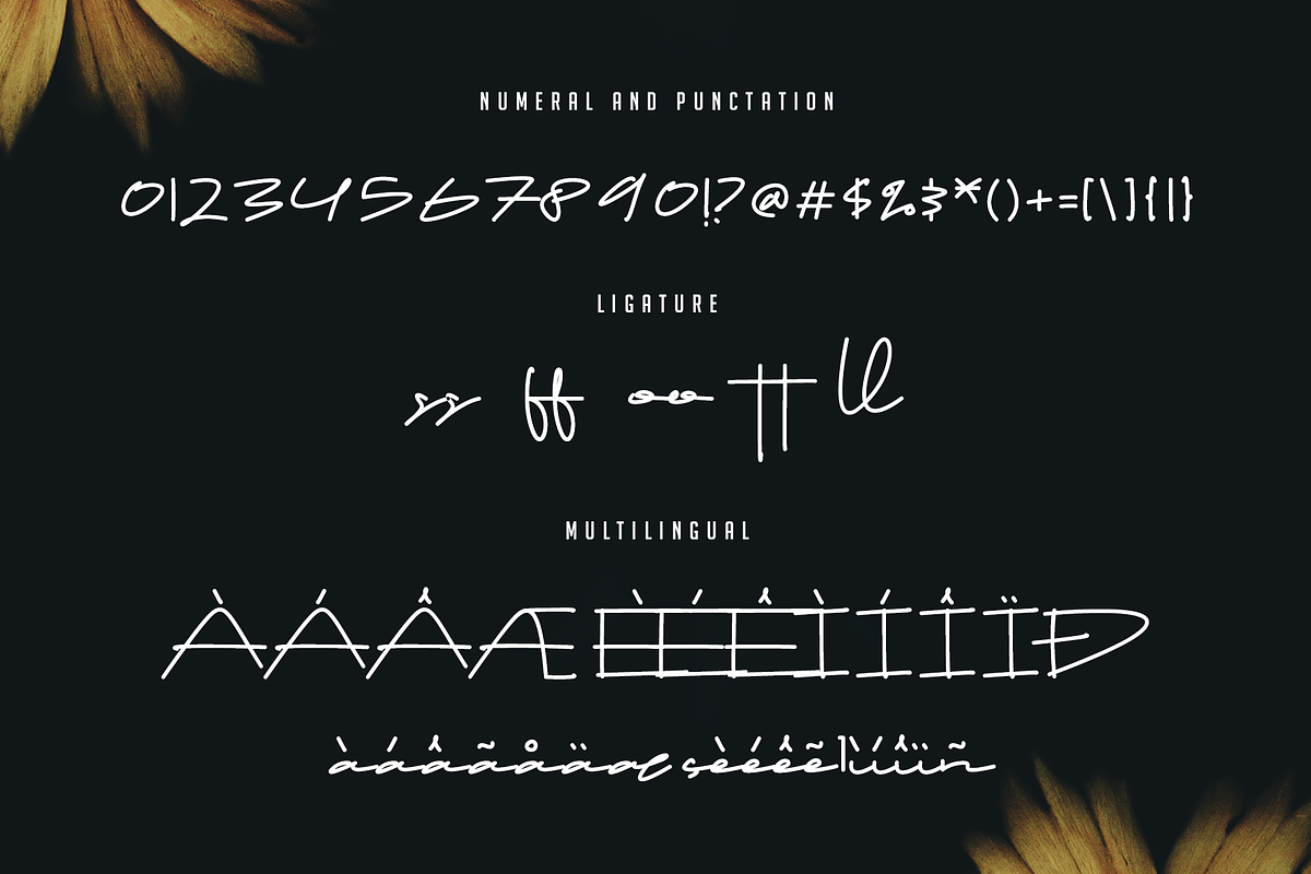 Drop Stay Signature, a Script Font by Dierstudio (Photo 13 of 13)