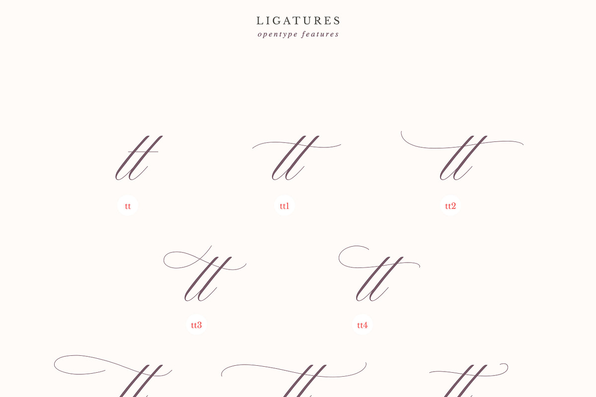 Juliette – Romantic Wedding Script, a Script Font by Blessed Print (Photo 28 of 34)