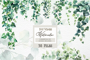 Ivy vines clipart, Greenery, a Decorative Illustration by Invite to Clipart