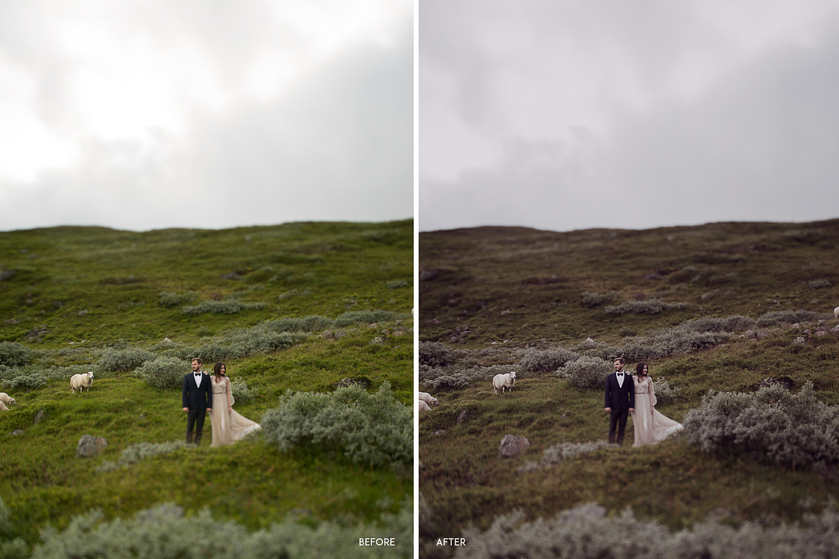 MODERN FILMS - INDIE WEDDING 01, an Action Add-On by FILMSLOOKS CO. (Photo 5 of 7)