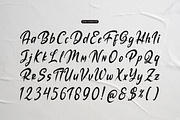 The Mollina | Solid Hand Drawn Brush, a Handwritten Font by gracetype_studio (Thumbnail 10 of 12)