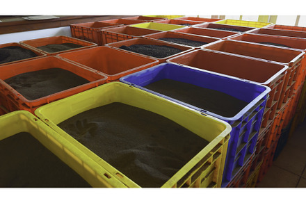 Colorful sand containers. Action, an Industrial Photo by Media Whale Stock