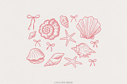 Coquette Seashell PNG, Beach Png, an Illustration by SharpMarketplace (Thumbnail 1 of 9)