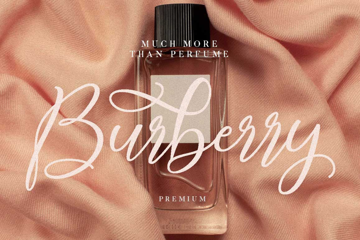 Millered - Beautiful Font Script, a Script Font by Dirtytemp Studio (Photo 2 of 12)