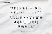 Gerisska – Elegant & Modern Stylish, a Serif Font by BrandSemut (Thumbnail 10 of 10)
