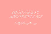 Claudine Script, a Script Font by etigletters (Thumbnail 9 of 10)