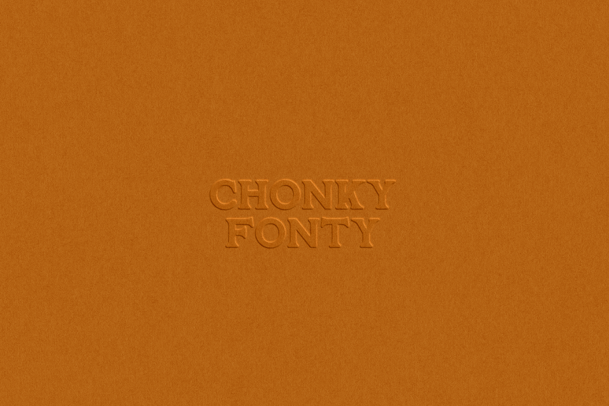Chonky Fonty | A chunky display, a Serif Font by OneTen The Studio (Photo 6 of 9)