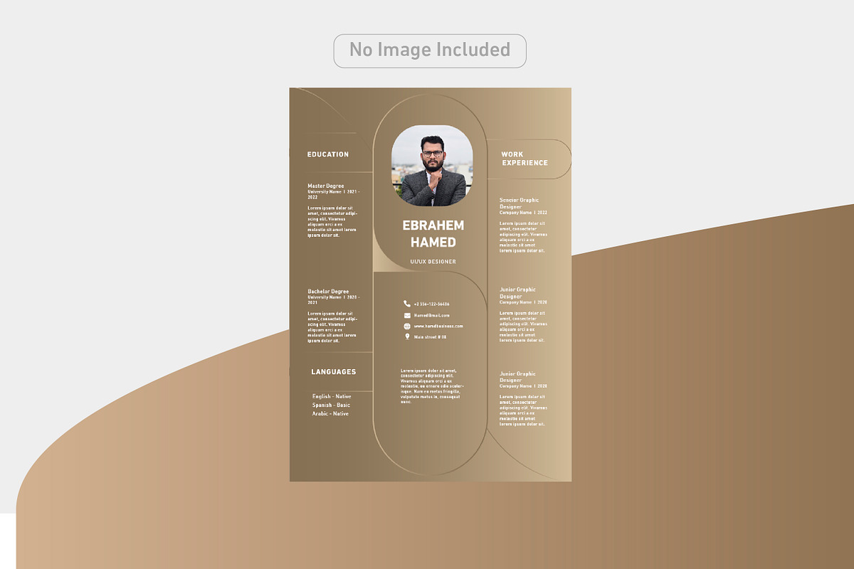 Luxury and simple CV, a Resume Template by Hamed Studio