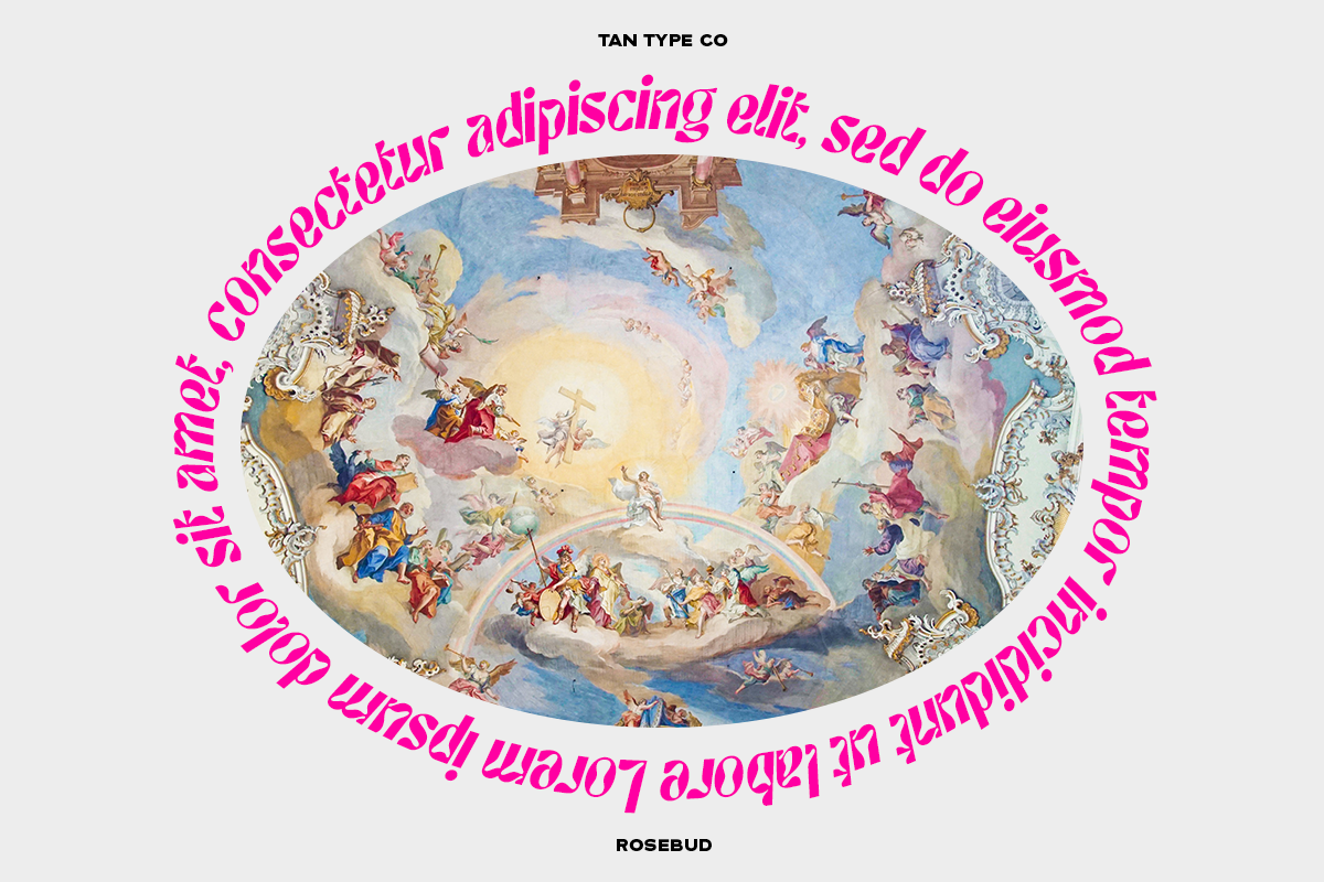 TAN - ROSEBUD, a Font by TanType (Photo 7 of 15)
