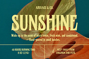 Birchside - A Condensed Serif, a Serif Font by Xelo Graph (Thumbnail 2 of 8)