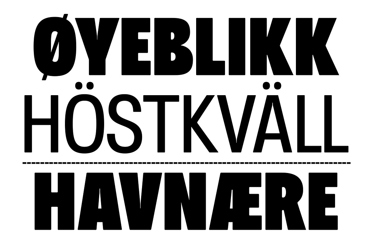 Otflag Sans, a Sans Serif Font by Oktnum Type Foundry (Photo 9 of 18)