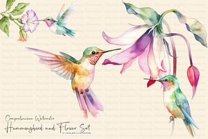 Watercolor Hummingbird and Flowers