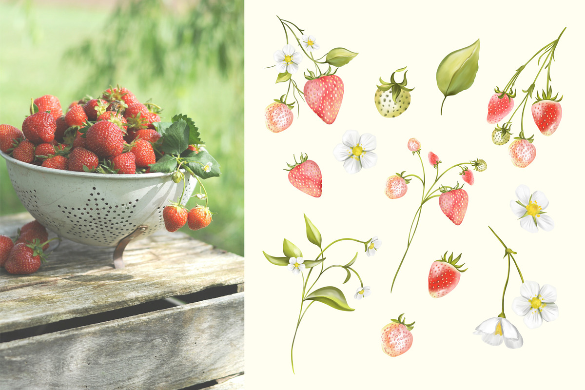Strawberry Pink Flower Garden, a Decorative Illustration by Rachel Art Studio (Photo 8 of 9)