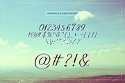 Wonderland Fonts Pack & Branding Kit, a Script Font by Graphicdome (Thumbnail 25 of 118)