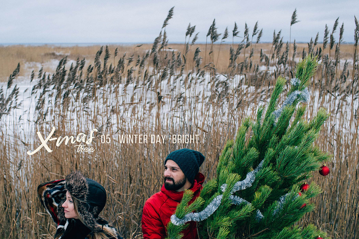 Christmas Tree - 20 Winter Presets, an Action Add-On by Presetrain Co. (Photo 5 of 10)