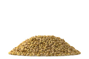 Coriander Seeds