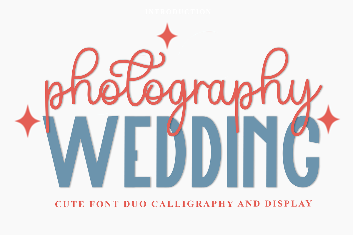 Photography Wedding, a Handwritten Font by FreshTypeINK (Photo 1 of 5)