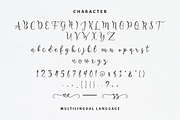 Untilnow Script Modern Calligraphy, a Script Font by sizimon (Thumbnail 8 of 8)