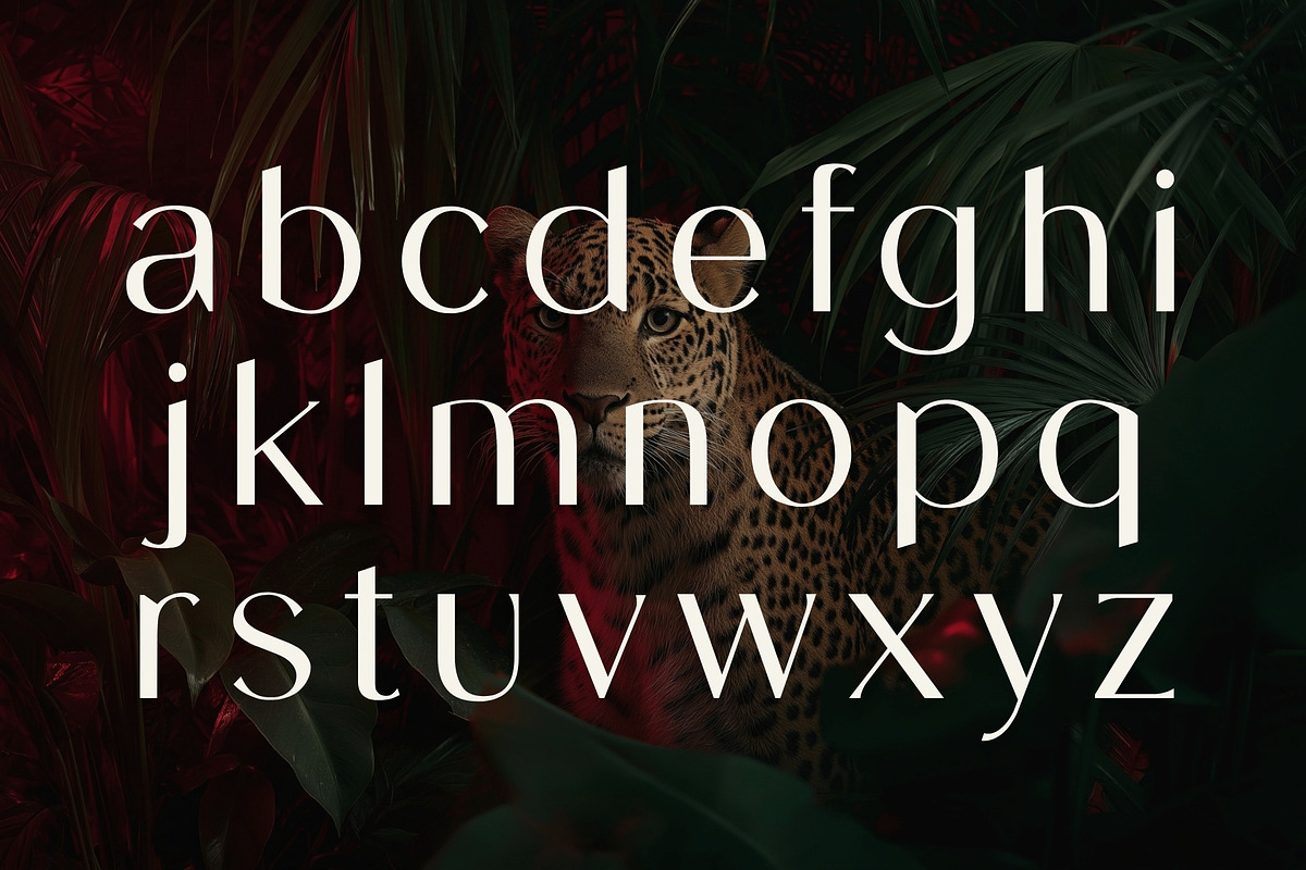 Bellarose - Modern Luxury Typeface, a Sans Serif Font by HipFonts (Photo 6 of 11)