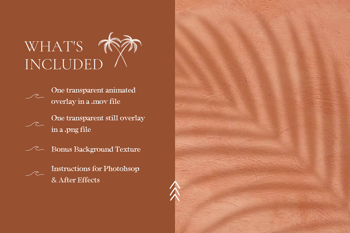 Animated Palm Leaf Shadow, a Product Mockup by Oui Create Studio (Photo 2 of 4)