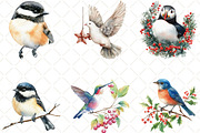 Winter Birds Christmas Clipart, an Illustration by Black Bird Studio (Thumbnail 2 of 6)