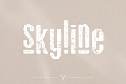skyline - vintage ligature sans font, a Sans Serif Font by SilverStag Type Foundry (Thumbnail 16 of 16)