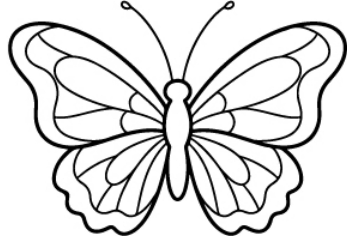 Butterfly SVG Bundle, an Object Graphic by Gfx_Store (Photo 27 of 32)