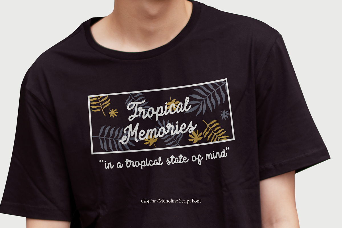 Caspian | Monoline Script, a Script Font by Denustudios (Photo 11 of 15)