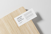 DL Landscape Flyer Mockup Set, a Product Mockup by professorinc (Thumbnail 4 of 5)