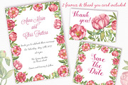 Pink Peonies - Watercolor Set, a Decorative Illustration by Irina Diasli (Thumbnail 8 of 8)