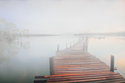 Fog and Mist Lightroom Presets, a Plug-in Add-On by Click Click Studio (Thumbnail 3 of 9)