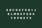 Ultimate Sports Font Bundle, a Slab Serif Font by Studio One Four (Thumbnail 7 of 25)