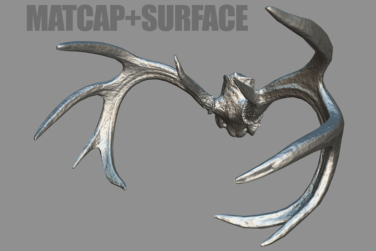 Deer Horns, an Animal 3D Model by Beatheart Creative Studio (Photo 9 of 17)
