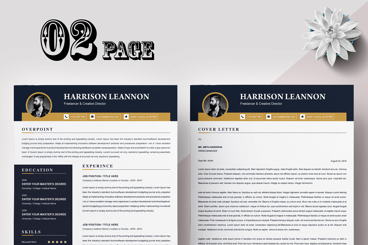 Resume Templates CV Bundle, a Resume Template by X-Type (Photo 9 of 21)