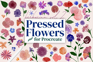 Pressed Flower Brushes for Procreate