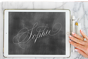Procreate Calligraphy Brush Sophie, a Brush Add-On by INKMETHIS (Thumbnail 3 of 3)