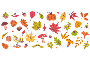 Autumn elements. Leaves, mushroom, an Illustration by winwin.art