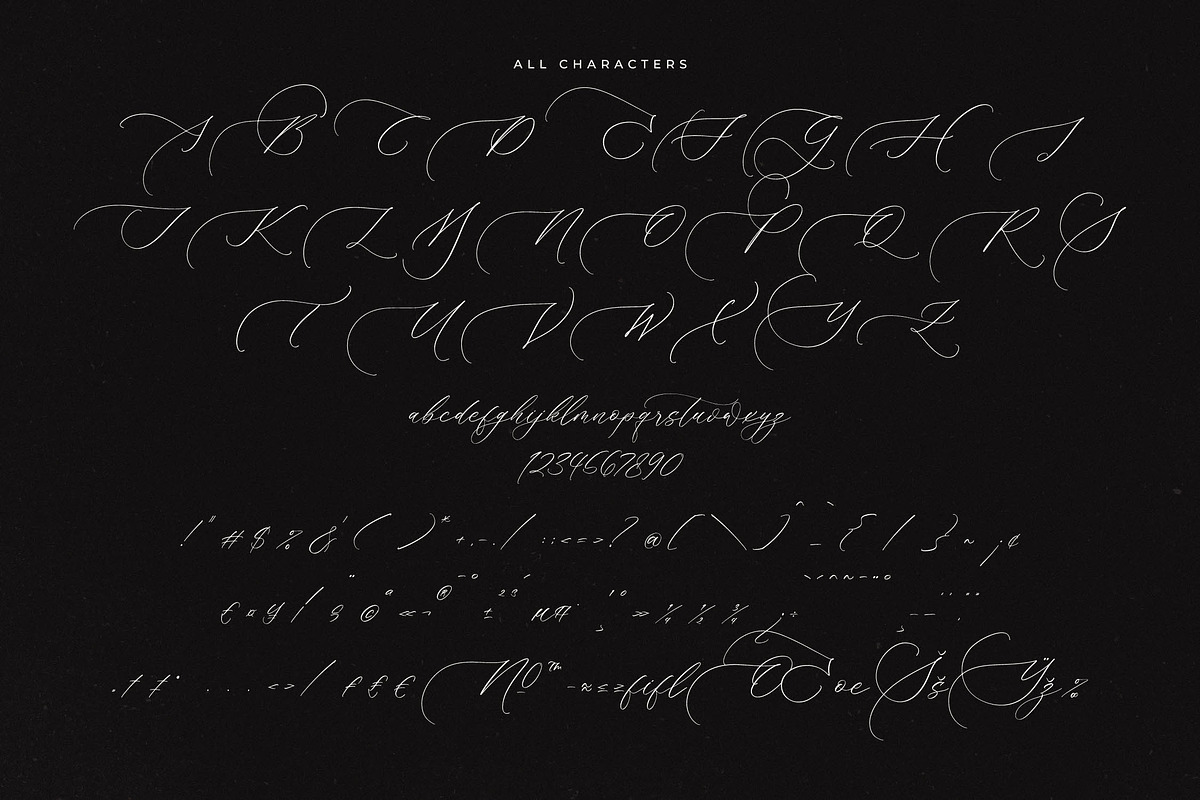 Brightera Himalaye Beautiful Script, a Script Font by Letterena Studios Script (Photo 13 of 15)
