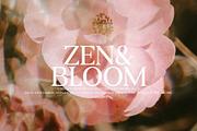 PINK LEMONADE - Elegant Serif, a Serif Font by Schrifted Type (Thumbnail 5 of 8)