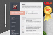 Resume/CV Bundle | 200+ for $29, a Resume Template by ResumeInventor (Thumbnail 58 of 207)