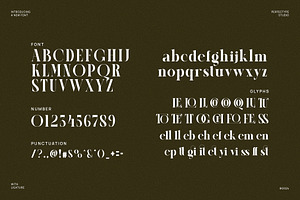 Cellgin Elegant Ligature Serif Font