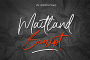 BEST SALE! The Signature Font Bundle, a Script Font by AMINMARIO (Thumbnail 16 of 21)