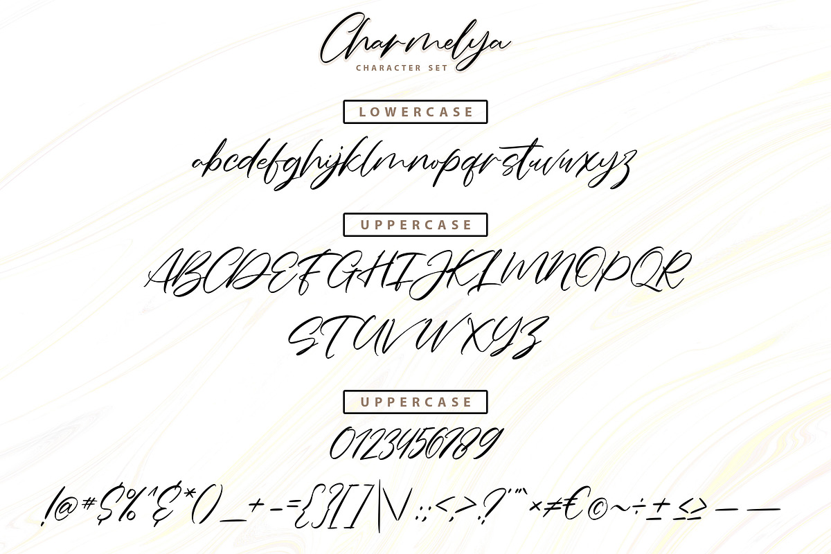 Charmelya – Handwriting script font, a Script Font by Typefactoryco (Photo 5 of 7)