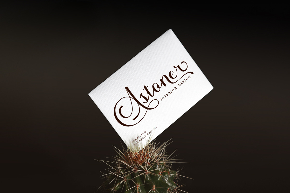 Benthura Script, a Script Font by Sammy Std (Photo 9 of 12)