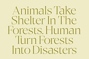 Bigest Karath Thin Serif Display, a Serif Font by timelesstype.co (Thumbnail 6 of 20)