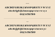 Archest - Elegant Bold Serif Font, a Serif Font by RagamKata (Thumbnail 9 of 10)