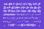 Tarkeni - Bold Calligraphy Font, a Script Font by Letterena Studios Script (Thumbnail 19 of 20)