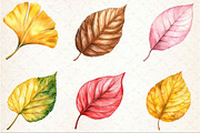 Watercolor Autumn Leaves clipart, an Illustration by Rose Art (Thumbnail 3 of 4)