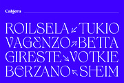 Calgera, a Serif Font by TRF Fonts (Thumbnail 5 of 16)